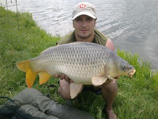 moara 2014
